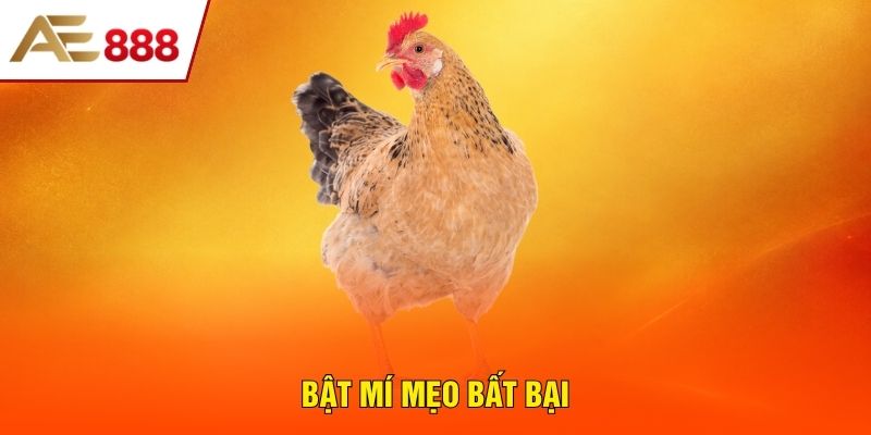Bật mí mẹo bất bại