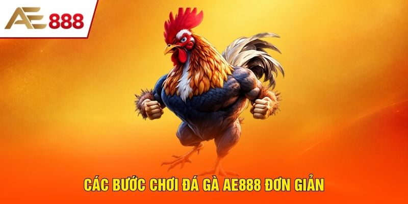 Các bước chơi đá gà AE888 đơn giản