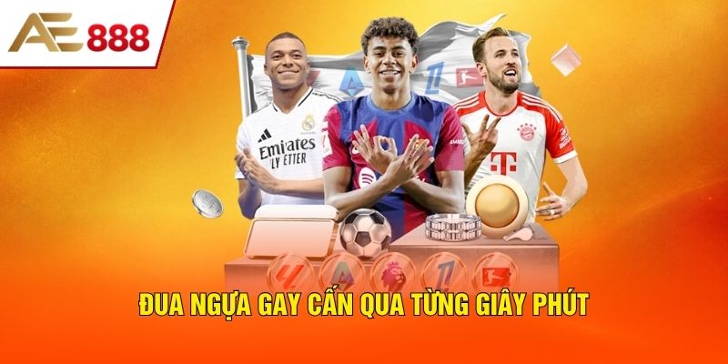 Đua ngựa gay cấn qua từng giây phút Đua ngựa gay cấn qua từng giây phút